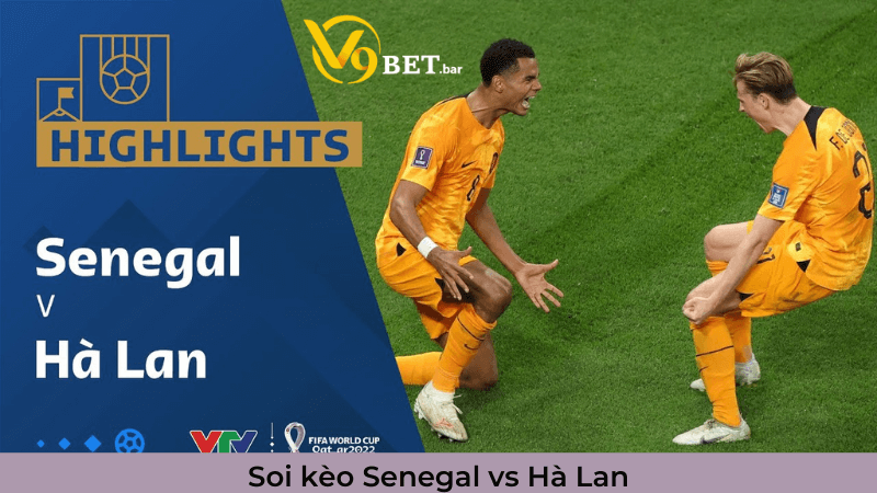 Soi kèo Senegal vs Hà Lan