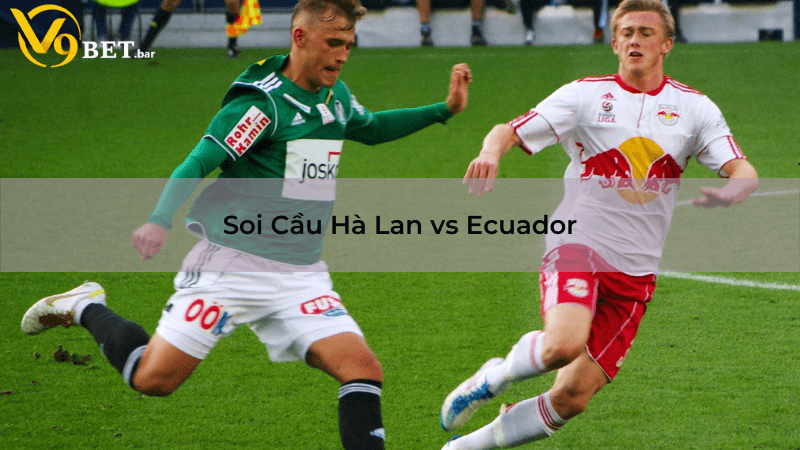 Nhận định Soi Cầu Hà Lan vs Ecuador